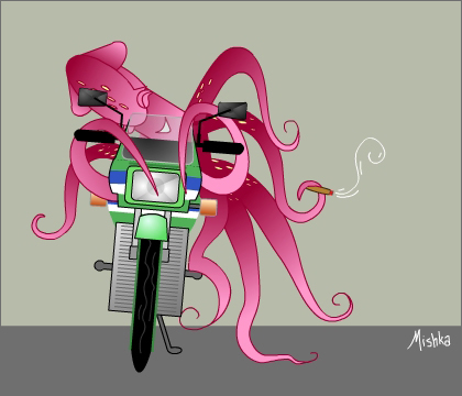 Squid keeps Kawasaki ZRX.